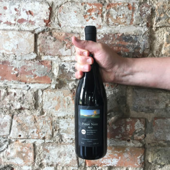Wino Winnice Wzgórz Trzebnickich Pinot Noir 2016
