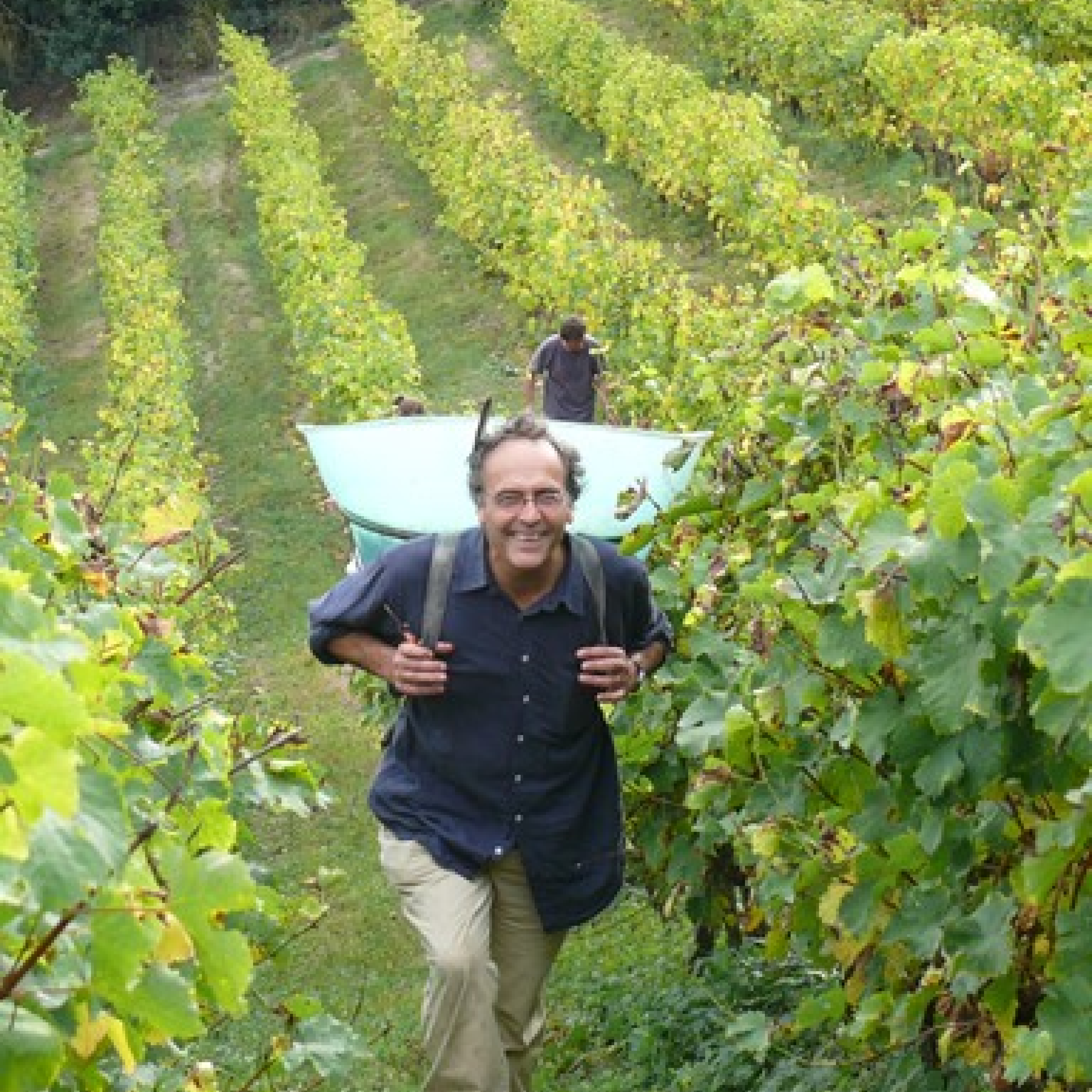 Wino Domaine Nicolas Joly (Clos de la Coulée de Serrant)