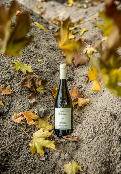Wino Domaine Guiberteau Saumur Blanc 2019