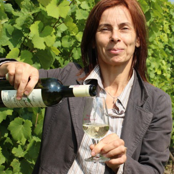 Wino Winnica Saint Vincent