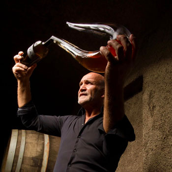 Wino Movia