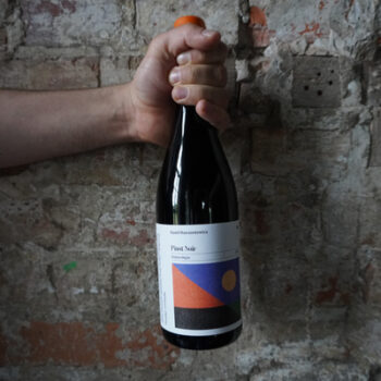 Wino Barczentewicz Pinot Noir Dobre Major 2020