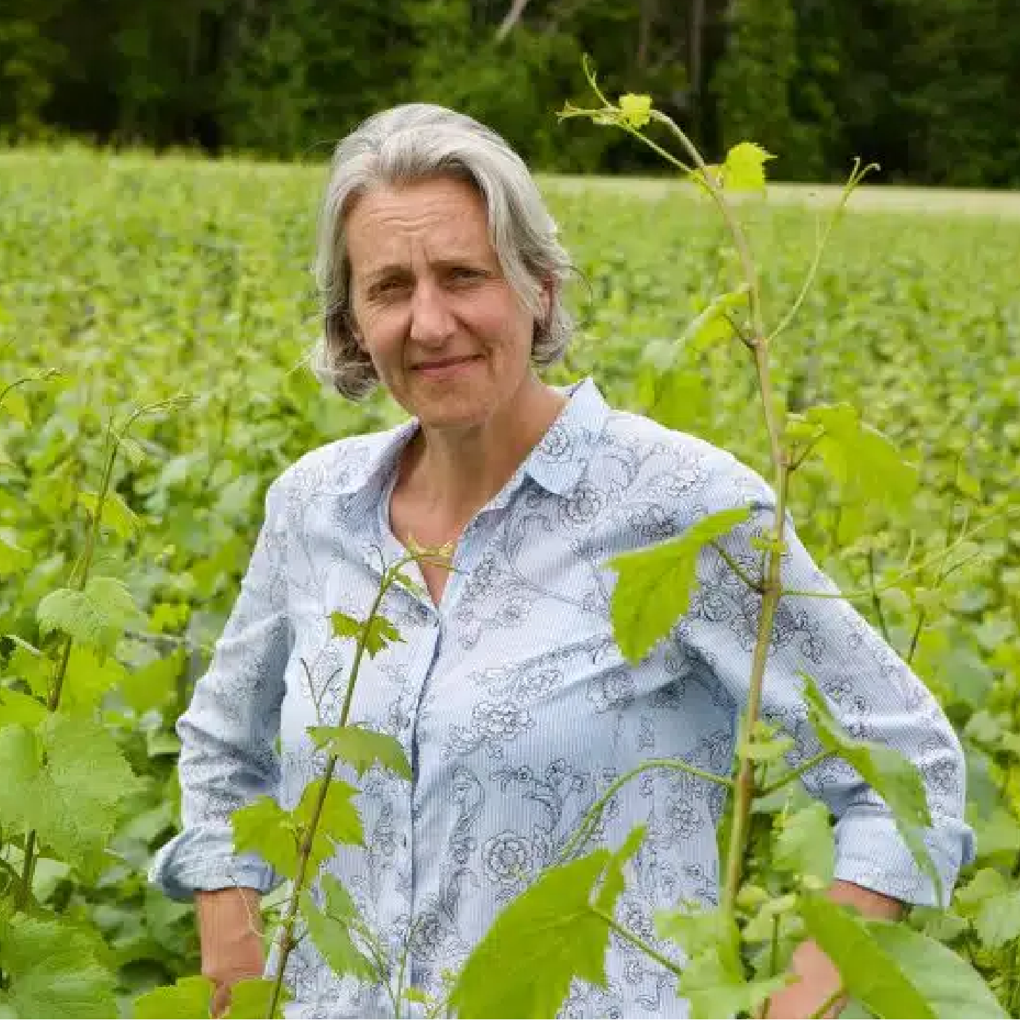 Wino Élise Dechannes