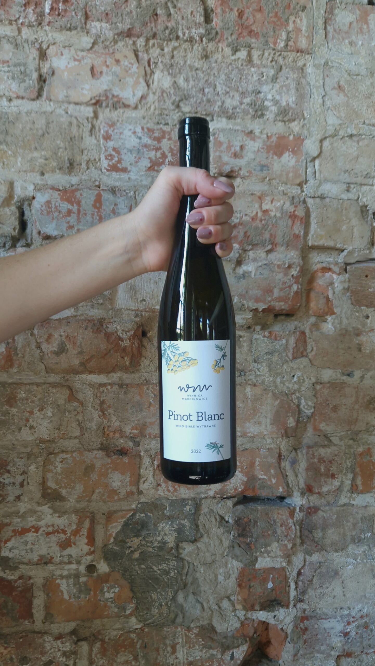 Wino Winnica Marcinowice Pinot Blanc 2022