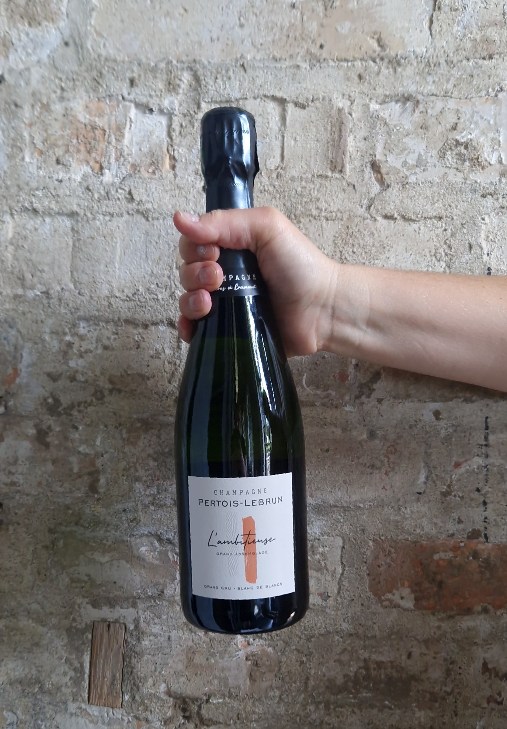 Wino Champagne Pertois-Lebrun L’ambitiense Blanc de Blancs Extra Brut