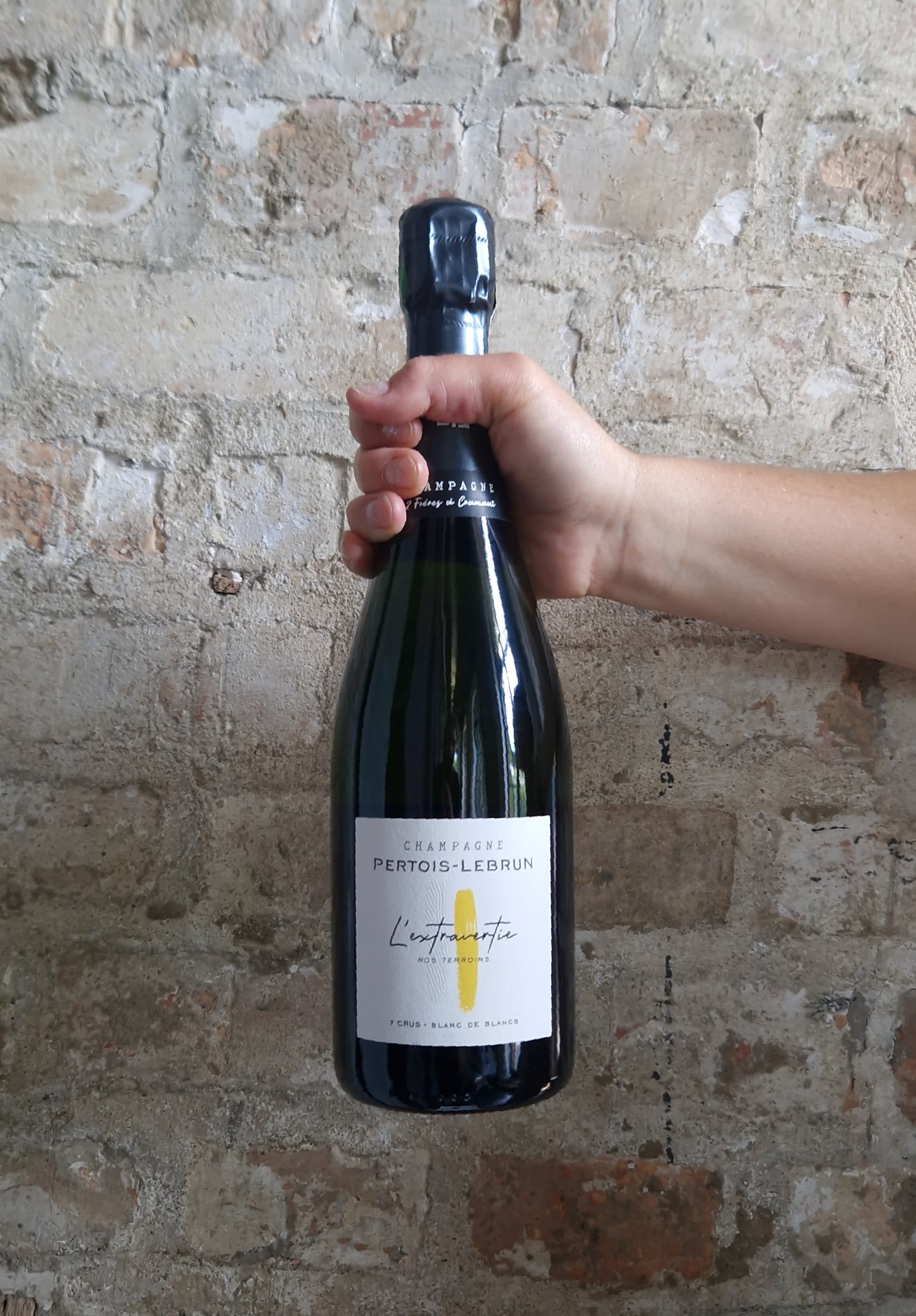 Wino Champagne Pertois-Lebrun Extravrtine Blanc de Blancs Extra Brut