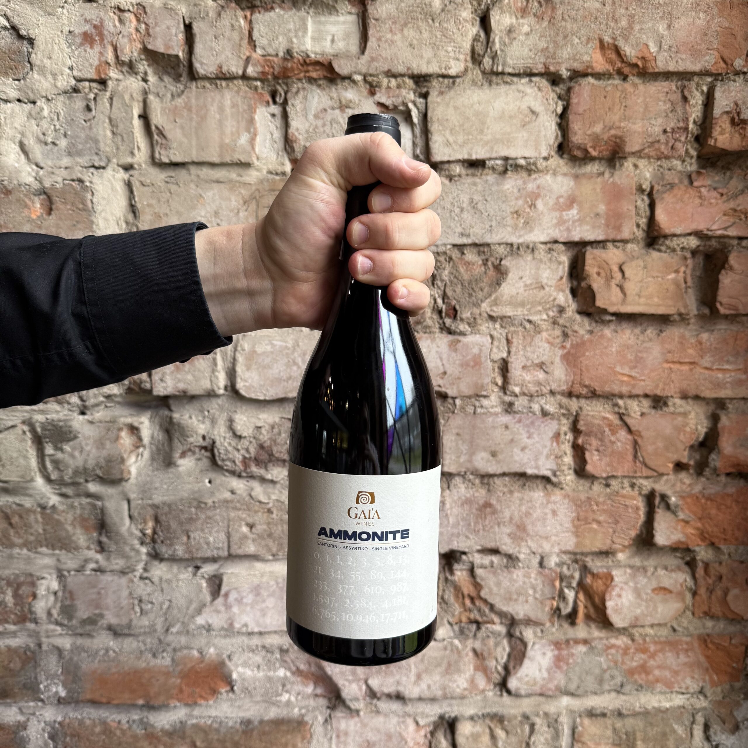 Wino Gaia Ammonite 2021