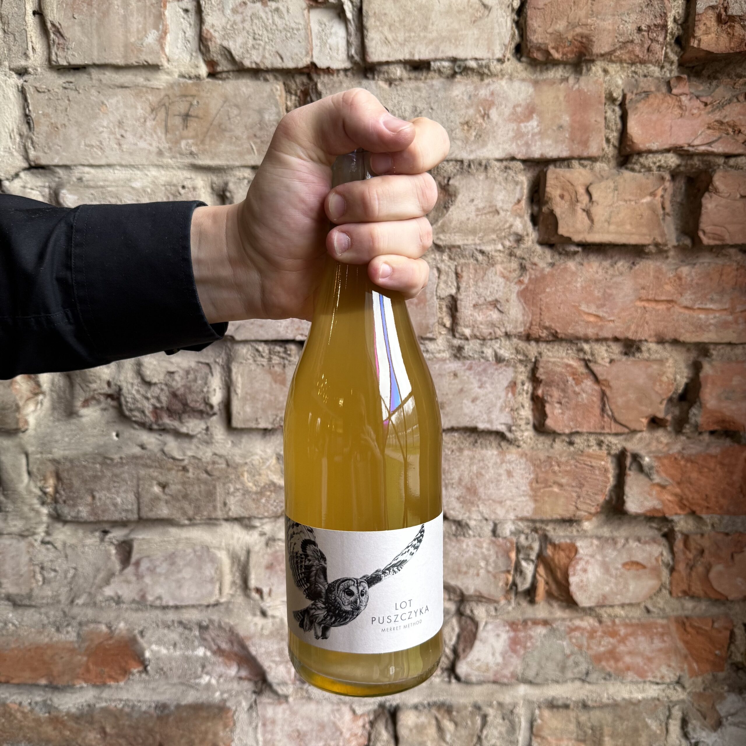 Wino Winnica Zielona Lot Puszczyka 2023