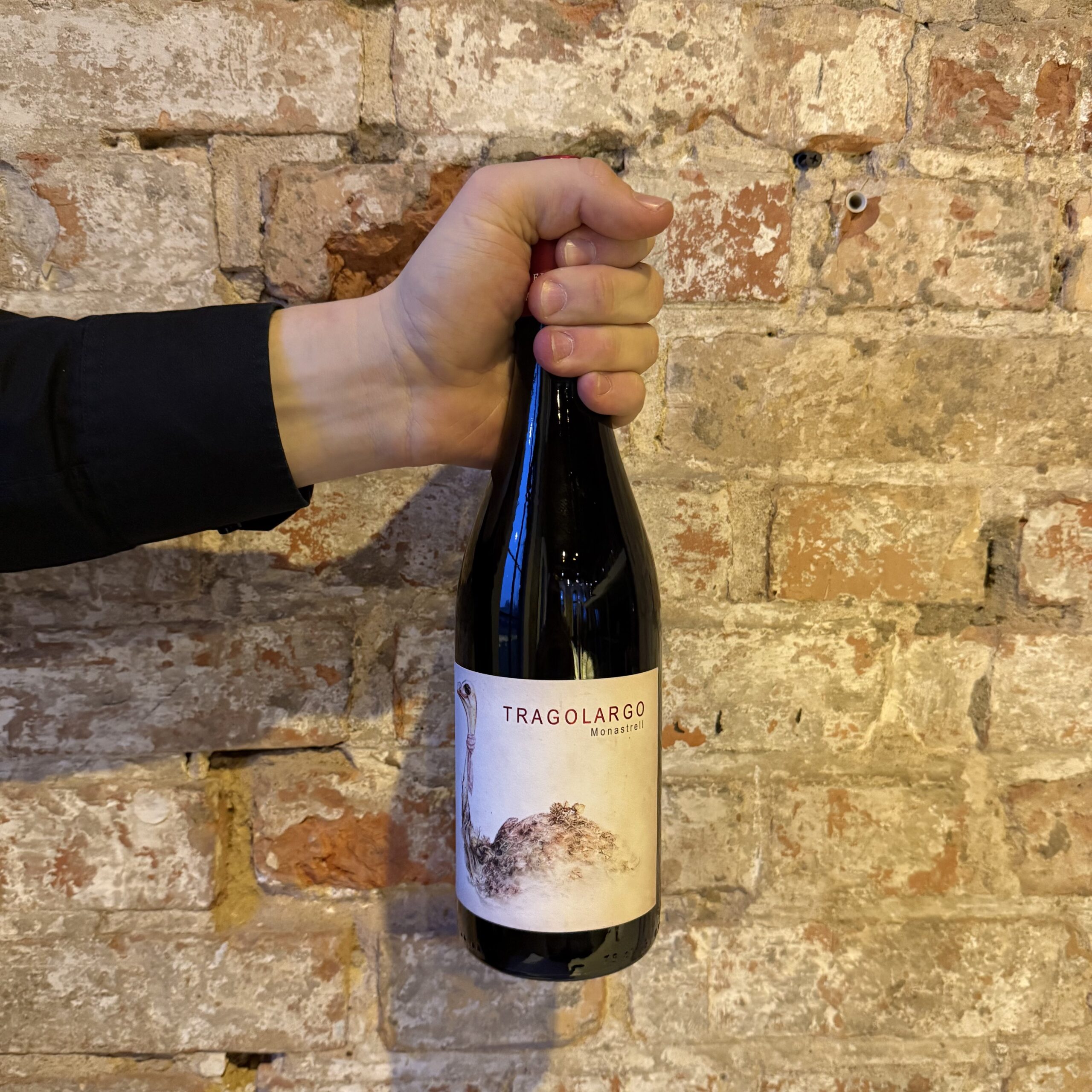 Wino Finca Casa Balaguer (Vinessens) Tragolargo Tinto 2021