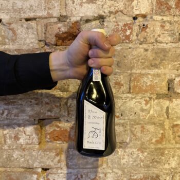 Wino Fabio Gea Back Grin 2021