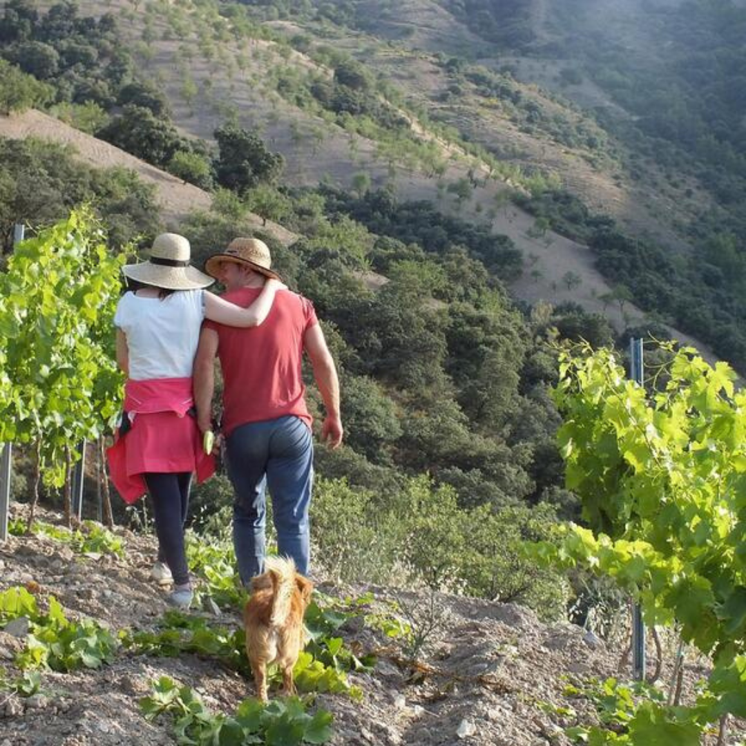 García De Verdevique