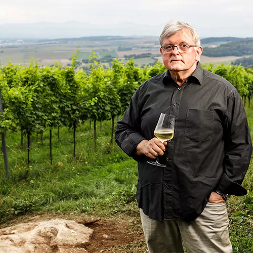 Wino Weingut Ludwig Neumayer