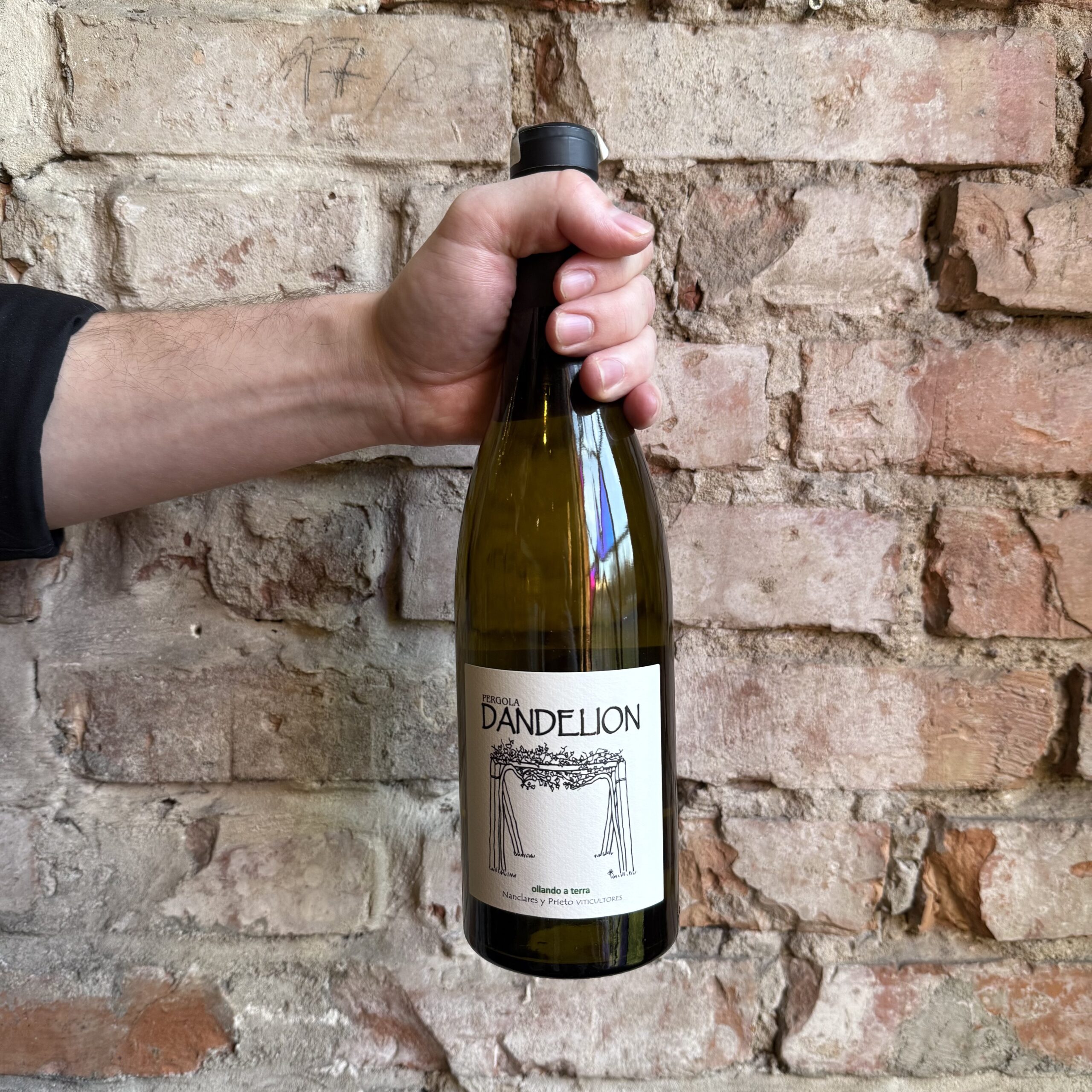 Wino Nanclares y Prieto Dandelion 2022