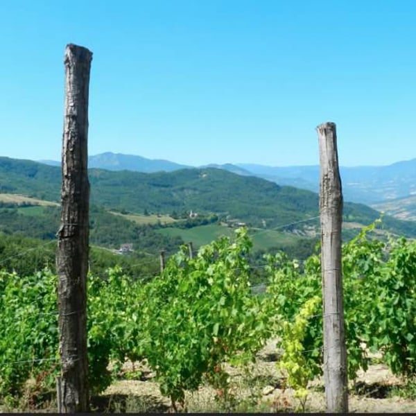 Azienda Agricola Denavolo